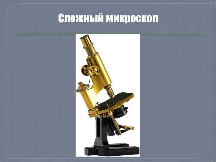 Сложный микроскоп