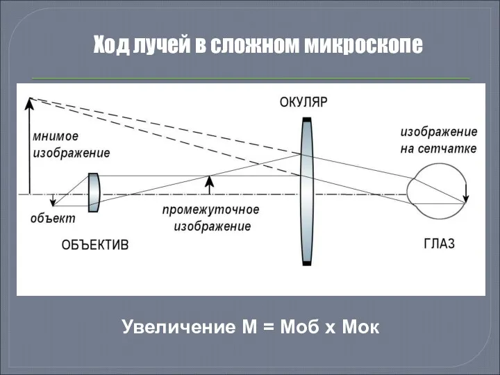 Ход лучей в сложном микроскопе Увеличение M = Mоб x Mок