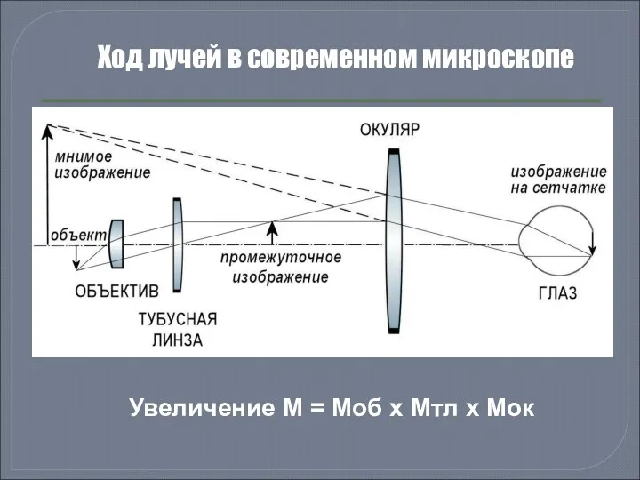 Ход лучей в современном микроскопе Увеличение M = Mоб x Mтл x Mок