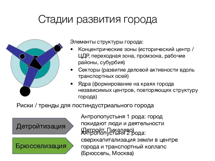 Стадии развития города Элементы структуры города: Концентрические зоны (исторический центр