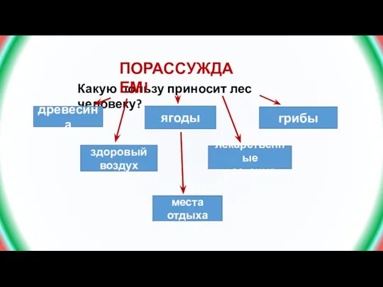 Какую пользу приносит лес человеку? ПОРАССУЖДАЕМ! древесина ягоды места отдыха грибы здоровый воздух лекарственные растения