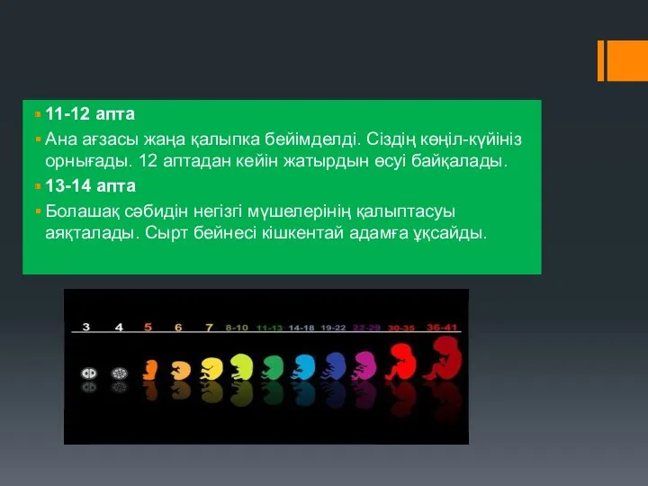 11-12 апта Ана ағзасы жаңа қалыпка бейімделді. Сіздің көңіл-күйініз орнығады. 12 аптадан кейін