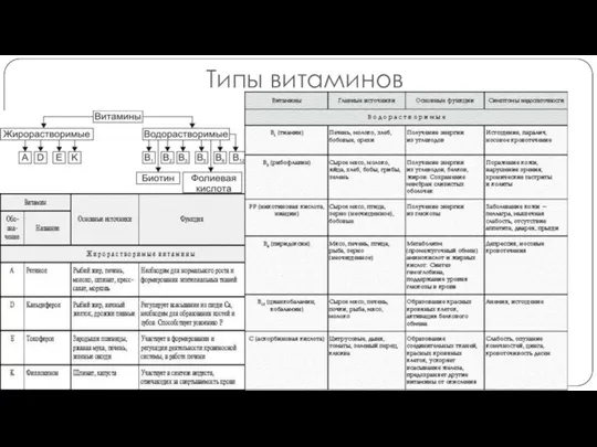 Типы витаминов