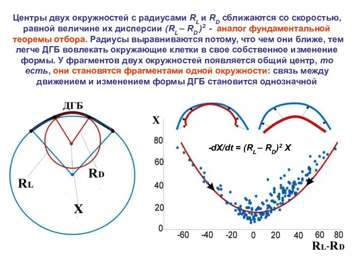 Центры двух окружностей с радиусами RL и RD сближаются со скоростью, равной величине