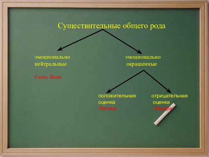 Существительные общего рода . эмоционально эмоционально нейтральные окрашенные Саша, Женя положительная отрицательная оценка оценка Умница Задира