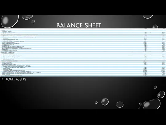 BALANCE SHEET TOTAL ASSETS