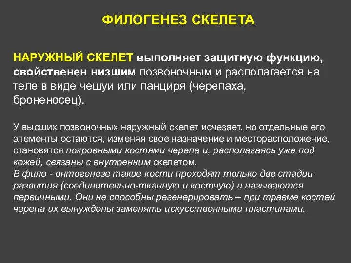 ФИЛОГЕНЕЗ СКЕЛЕТА НАРУЖНЫЙ СКЕЛЕТ выполняет защитную функцию, свойственен низшим позвоночным