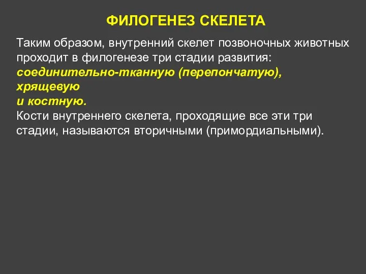 ФИЛОГЕНЕЗ СКЕЛЕТА Таким образом, внутренний скелет позвоночных животных проходит в