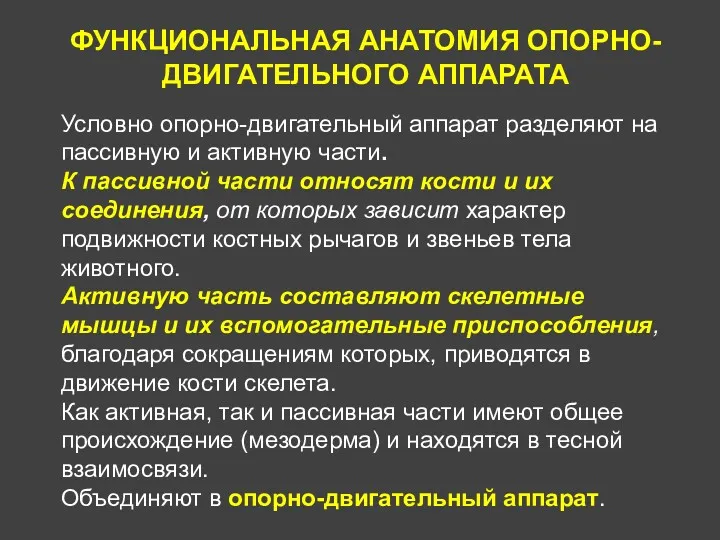 ФУНКЦИОНАЛЬНАЯ АНАТОМИЯ ОПОРНО-ДВИГАТЕЛЬНОГО АППАРАТА Условно опорно-двигательный аппарат разделяют на пассивную