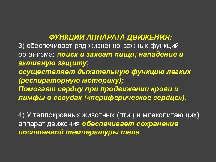 ФУНКЦИИ АППАРАТА ДВИЖЕНИЯ: 3) обеспечивает ряд жизненно-важных функций организма: поиск