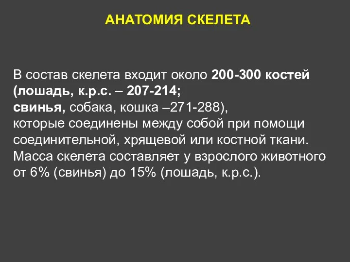 АНАТОМИЯ СКЕЛЕТА В состав скелета входит около 200-300 костей (лошадь,