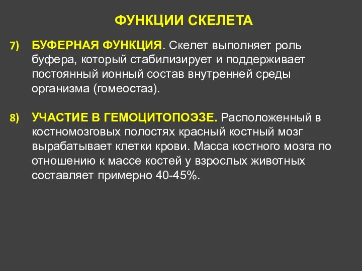 ФУНКЦИИ СКЕЛЕТА БУФЕРНАЯ ФУНКЦИЯ. Скелет выполняет роль буфера, который стабилизирует