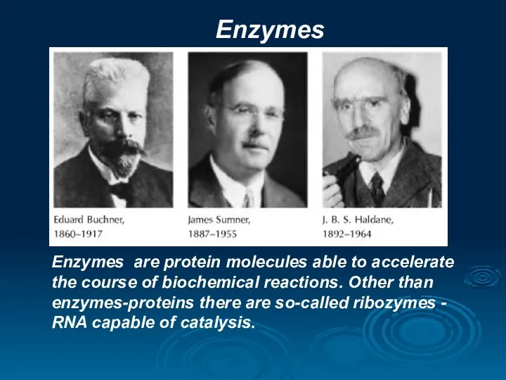Enzymes Enzymes are protein molecules able to accelerate the course of biochemical reactions.