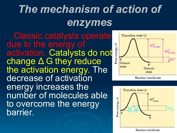 The mechanism of action of enzymes Classic catalysts operate due