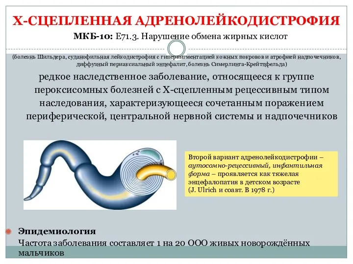 Х-СЦЕПЛЕННАЯ АДРЕНОЛЕЙКОДИСТРОФИЯ (болезнь Шильдера, суданофильная лейкодистрофия с гиперпигментацией кожных покровов