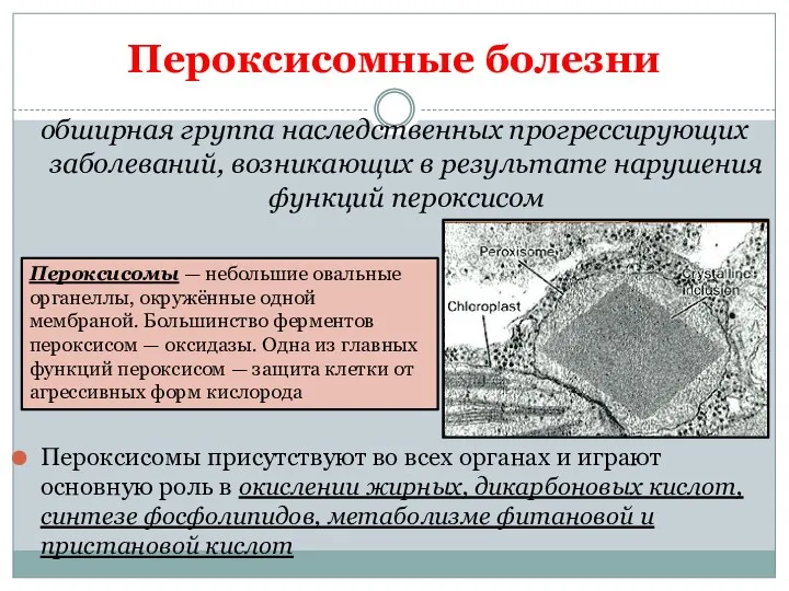 Пероксисомные болезни обширная группа наследственных прогрессирующих заболеваний, возникающих в результате