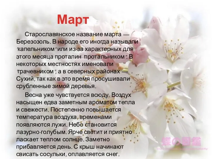 Март Старославянское название марта — Березозоль. В народе его иногда