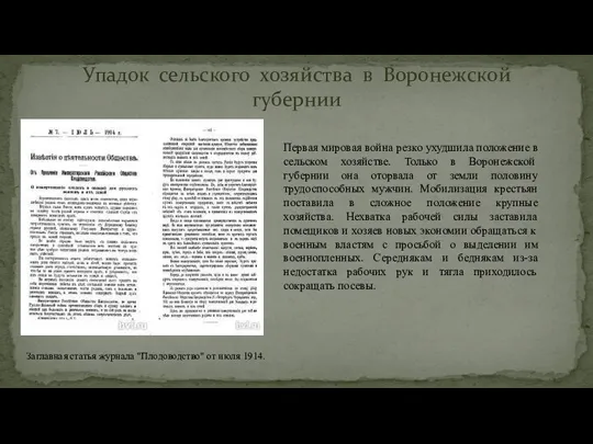 Упадок сельского хозяйства в Воронежской губернии Первая мировая война резко