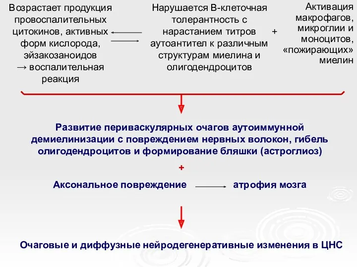 Возрастает продукция провоспалительных цитокинов, активных форм кислорода, эйзакозаноидов → воспалительная