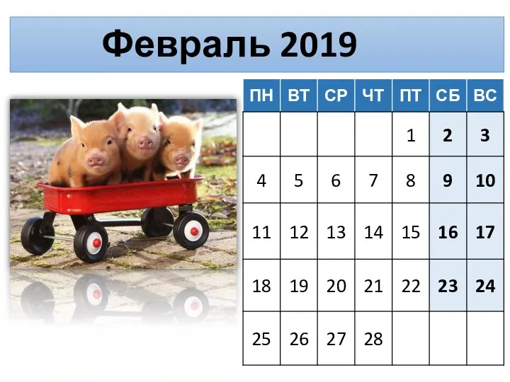 Февраль 2019