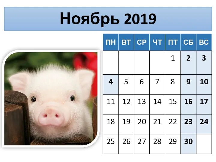 Ноябрь 2019