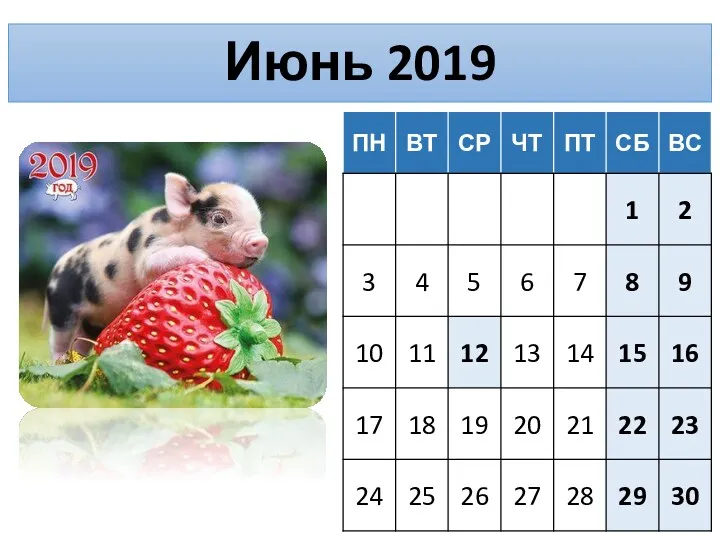 Июнь 2019