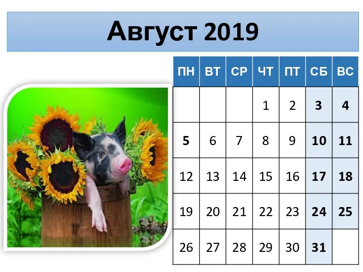 Август 2019