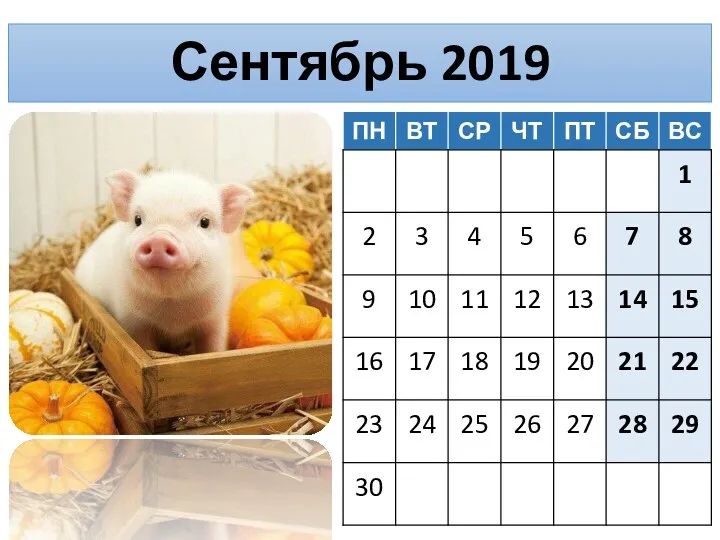 Сентябрь 2019