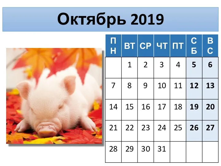 Октябрь 2019