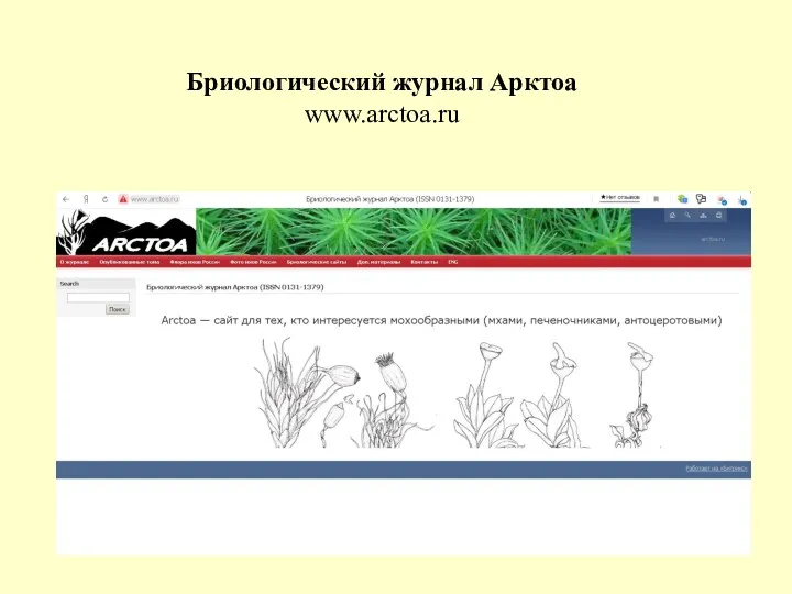 Бриологический журнал Арктоа www.arctoa.ru