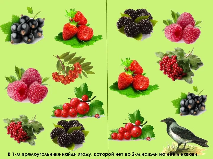 В 1-м прямоугольнике найди ягоду, которой нет во 2-м,нажми на нее и назови.