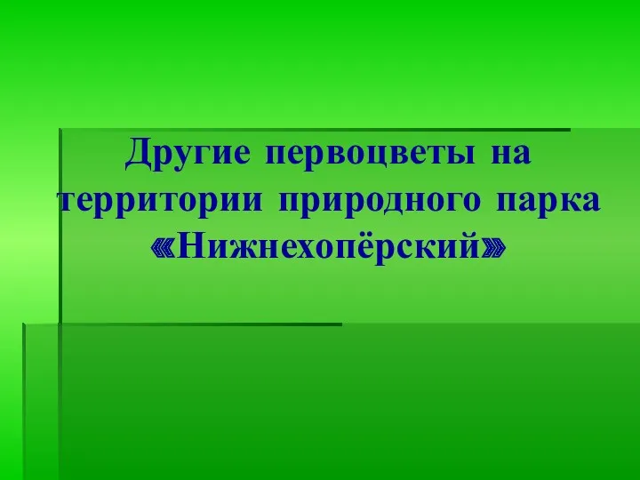 Другие первоцветы на территории природного парка «Нижнехопёрский»