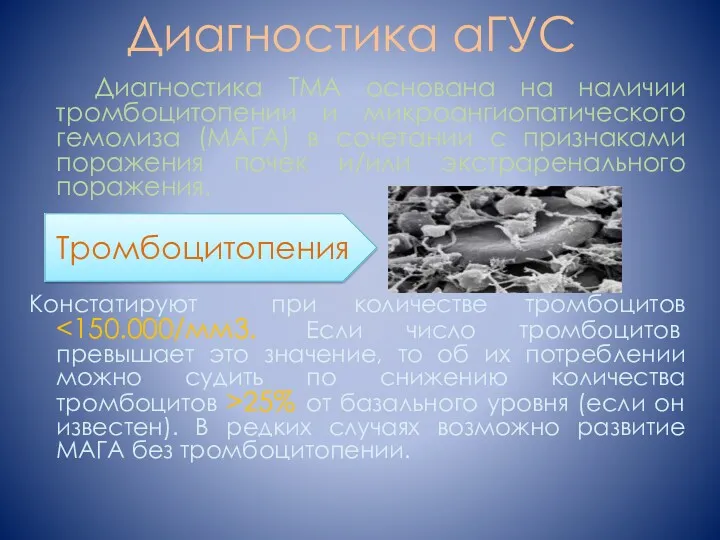 Диагностика аГУС Диагностика ТМА основана на наличии тромбоцитопении и микроангиопатического