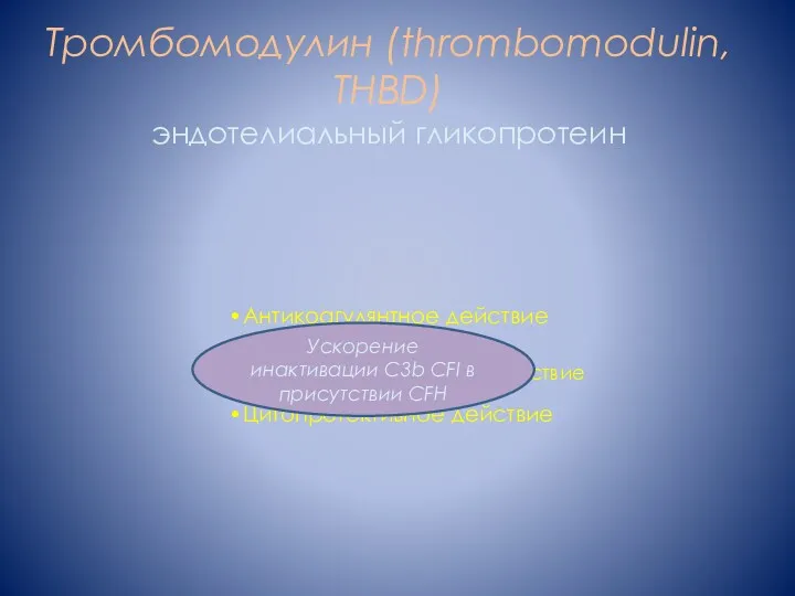 Тромбомодулин (thrombomodulin, THBD) эндотелиальный гликопротеин Антикоагулянтное действие Противовоспалительное действие Цитопротективное действие Ускорение инактивации