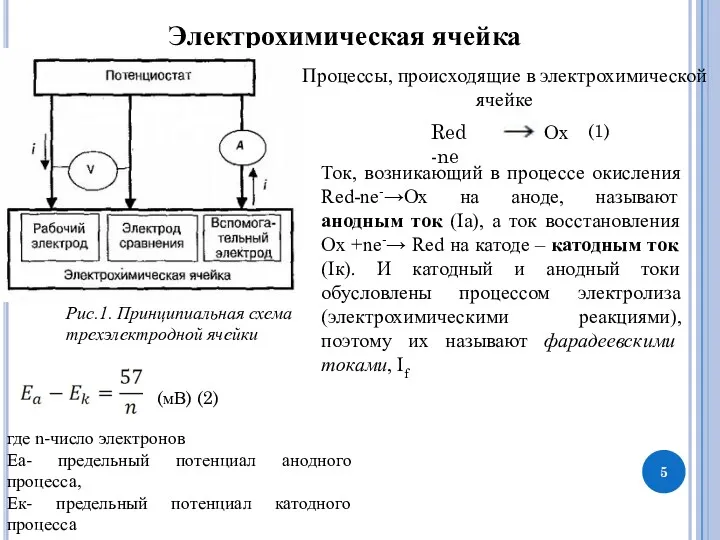 Электрохимическая ячейка Рис.1. Принципиальная схема трехэлектродной ячейки Процессы, происходящие в