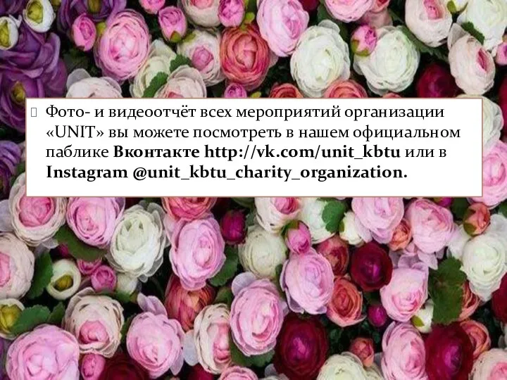 Фото- и видеоотчёт всех мероприятий организации «UNIT» вы можете посмотреть