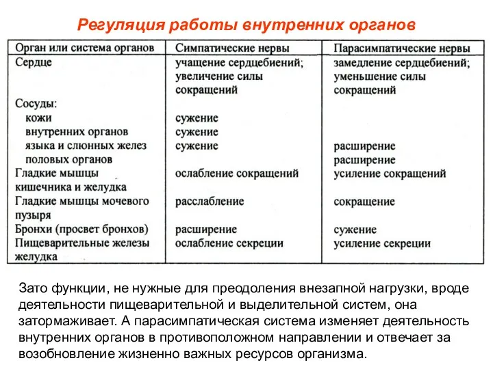 Регуляция работы внутренних органов Зато функции, не нужные для преодоления