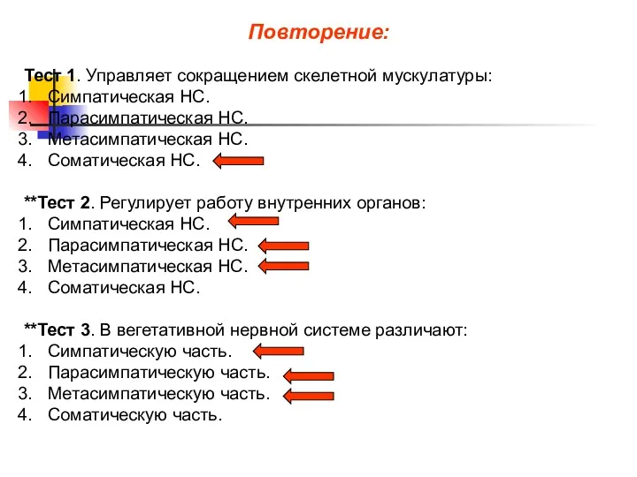 Повторение: Тест 1. Управляет сокращением скелетной мускулатуры: Симпатическая НС. Парасимпатическая