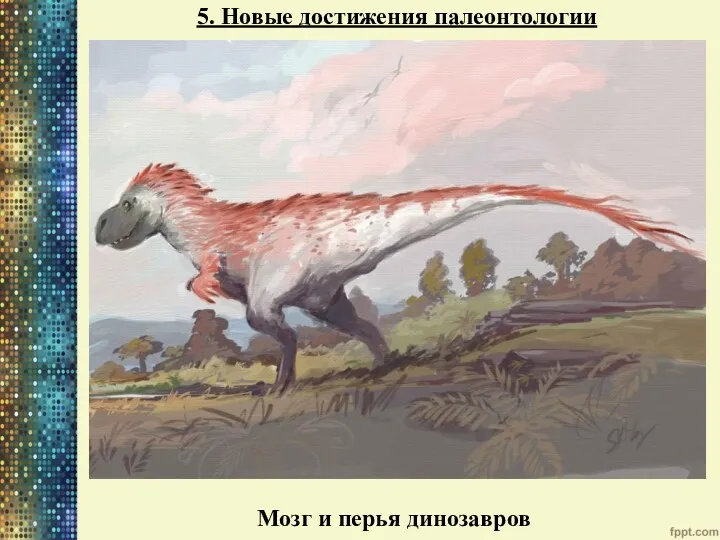 5. Новые достижения палеонтологии Мозг и перья динозавров