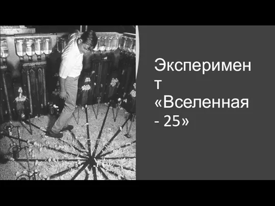 Эксперимент «Вселенная - 25»