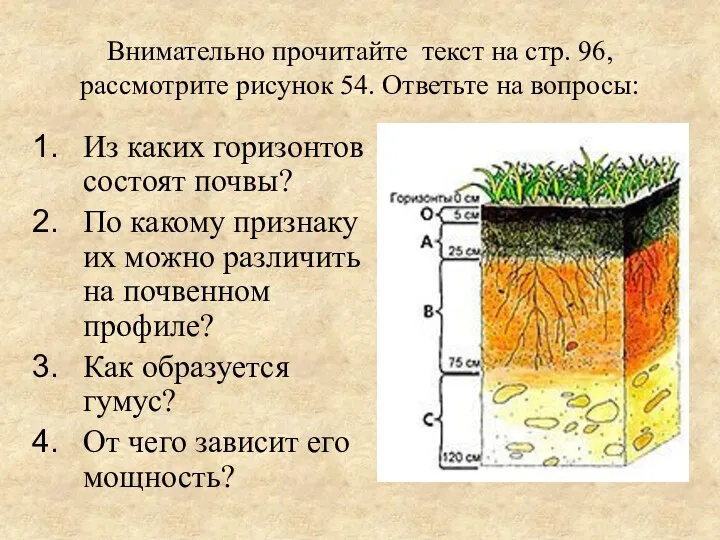 Внимательно прочитайте текст на стр. 96, рассмотрите рисунок 54. Ответьте