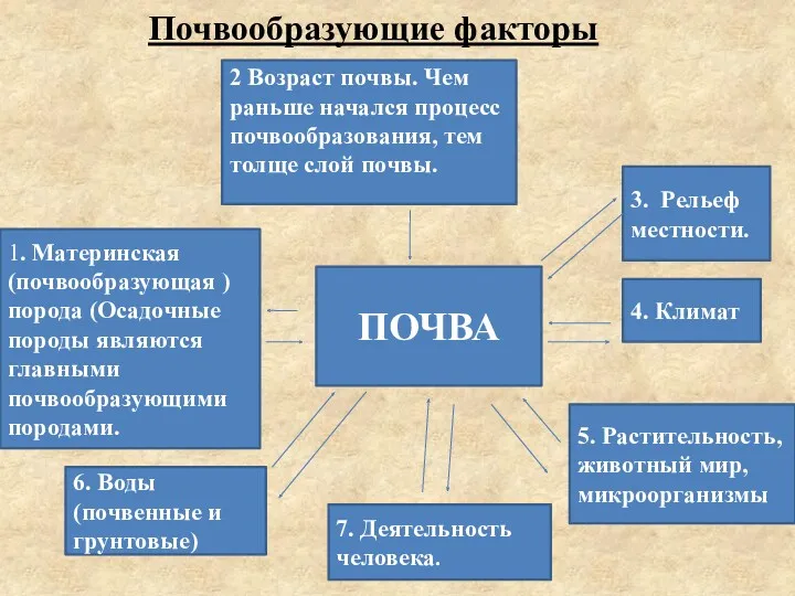 Почвообразующие факторы 1. Материнская (почвообразующая ) порода (Осадочные породы являются