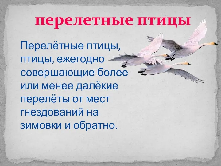 перелетные птицы Перелётные птицы, птицы, ежегодно совершающие более или менее