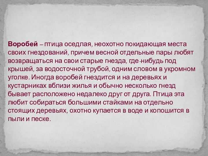 Воробей – птица оседлая, неохотно покидающая места своих гнездований, причем