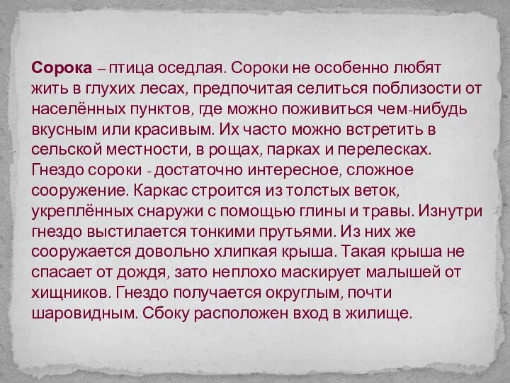 Сорока – птица оседлая. Сороки не особенно любят жить в глухих лесах, предпочитая