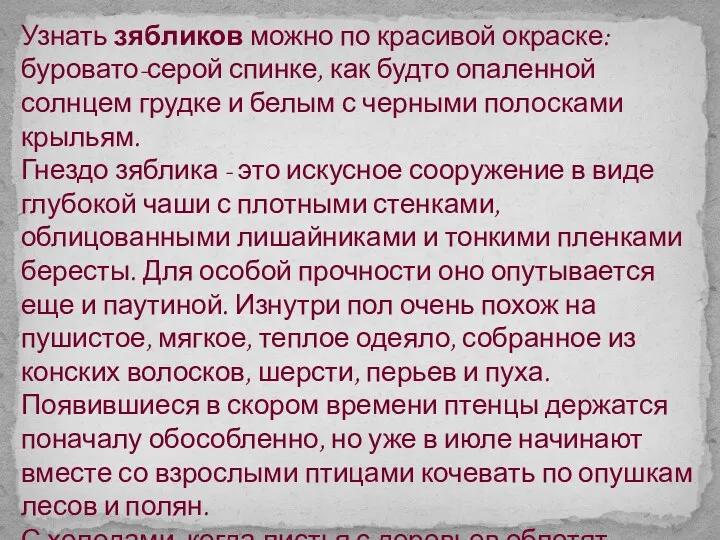 Узнать зябликов можно по красивой окраске: буровато-серой спинке, как будто опаленной солнцем грудке