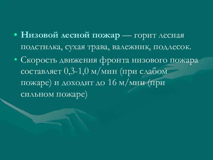 Низовой лесной пожар — горит лесная подстилка, сухая трава, валежник,