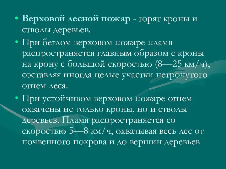 Верховой лесной пожар - горят кроны и стволы деревьев. При