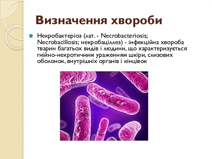 Визначення хвороби Некробактеріоз (лат. - Necrobacteriosis; Necrobacillosis; некробаціллез) - інфекційна