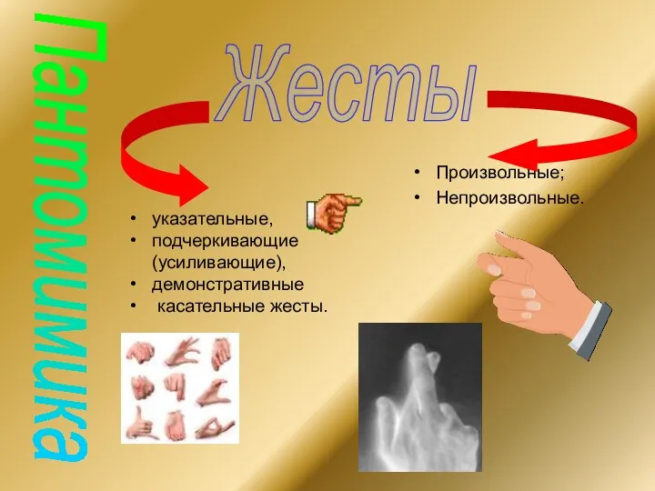 Пантомимика Жесты указательные, подчеркивающие (усиливающие), демонстративные касательные жесты. Произвольные; Непроизвольные.